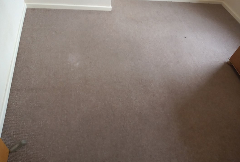 After Carpet Deep clean