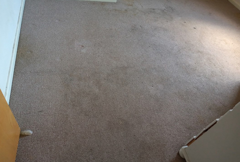 Before Carpet Deep clean
