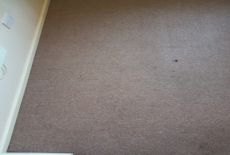 After Carpet Deep clean