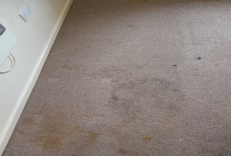 Before Carpet Deep clean