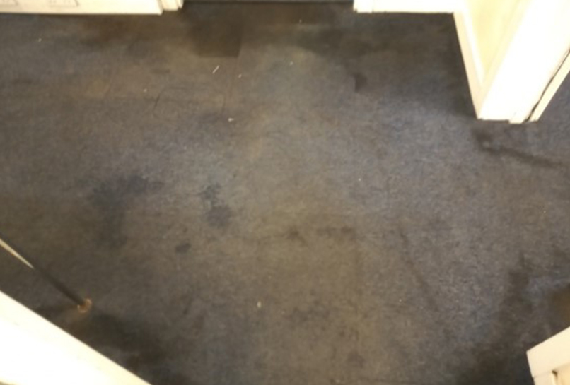 Before Carpet Deep clean