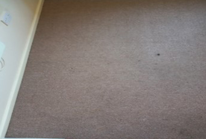 After Carpet Deep clean