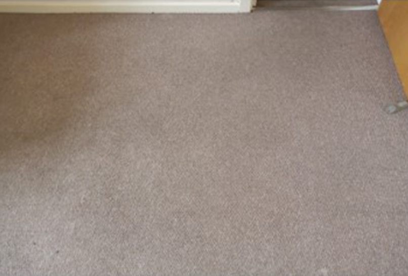 After Carpet Deep clean