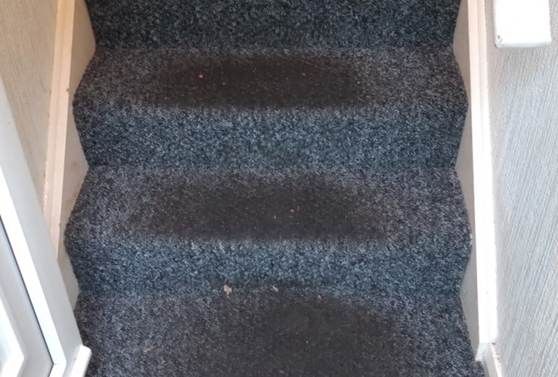 Before Carpet Deep clean