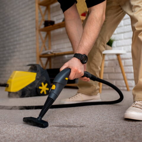 Deep-Clean-Pet-Carpets